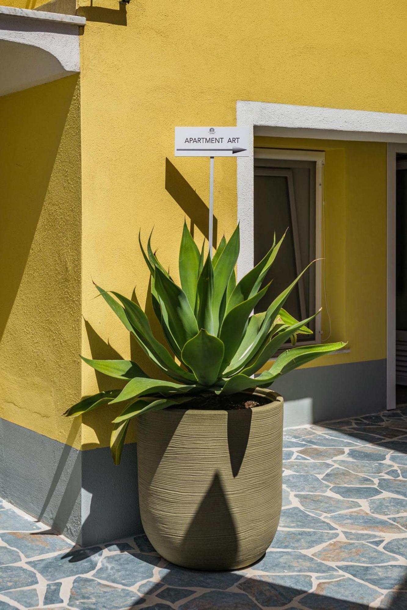 Ciraccio Apartments 普罗奇达 外观 照片