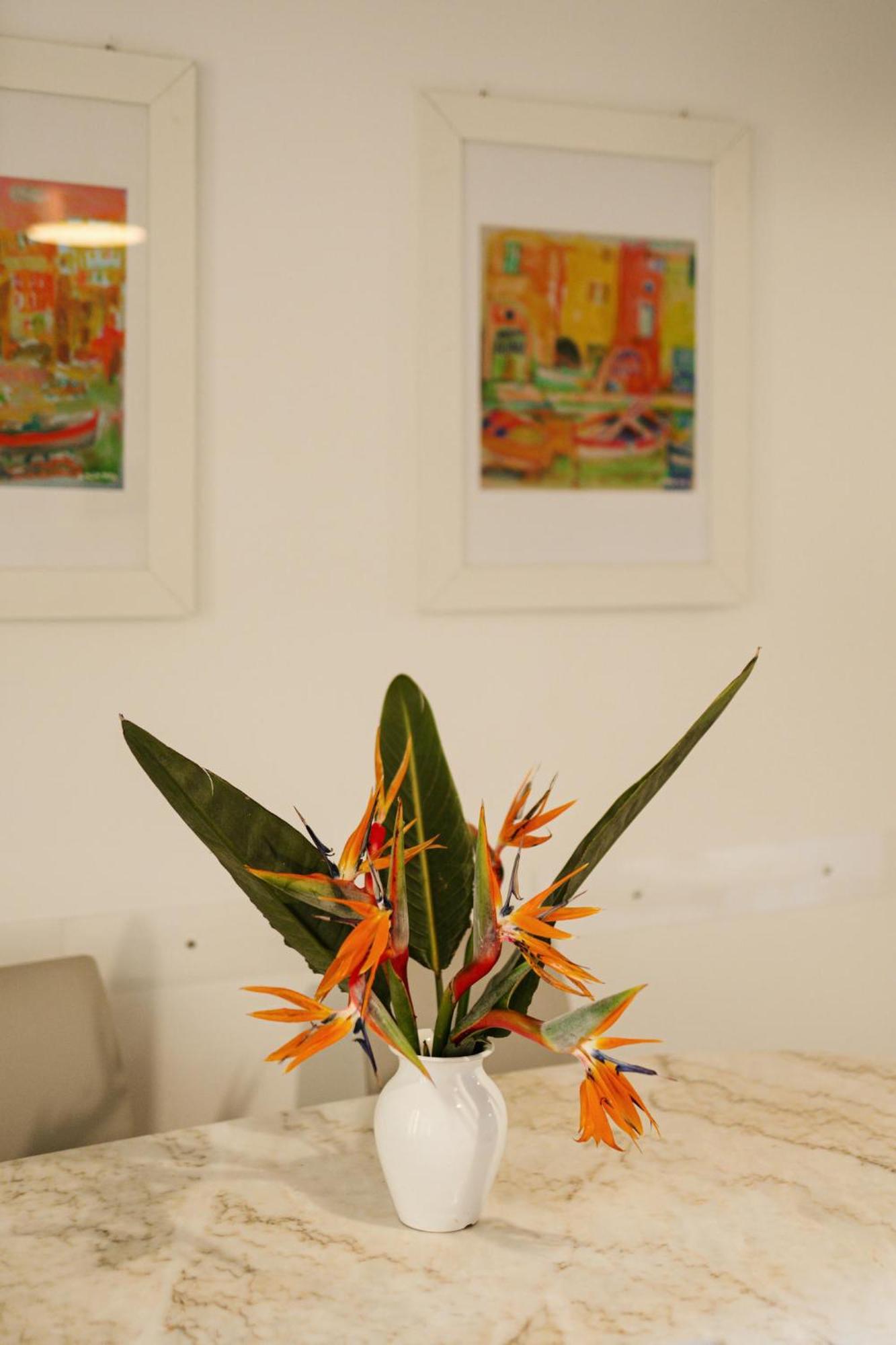 Ciraccio Apartments 普罗奇达 外观 照片